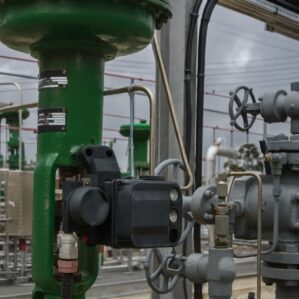 Globe Control Valve Fisher