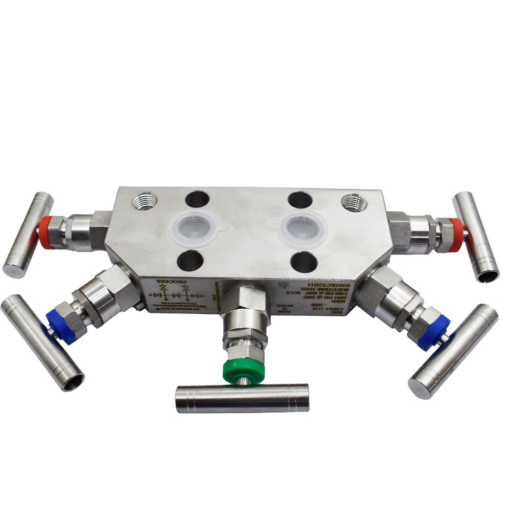 منیفولد ابزار دقیق Rosemount C305 استیل 316L