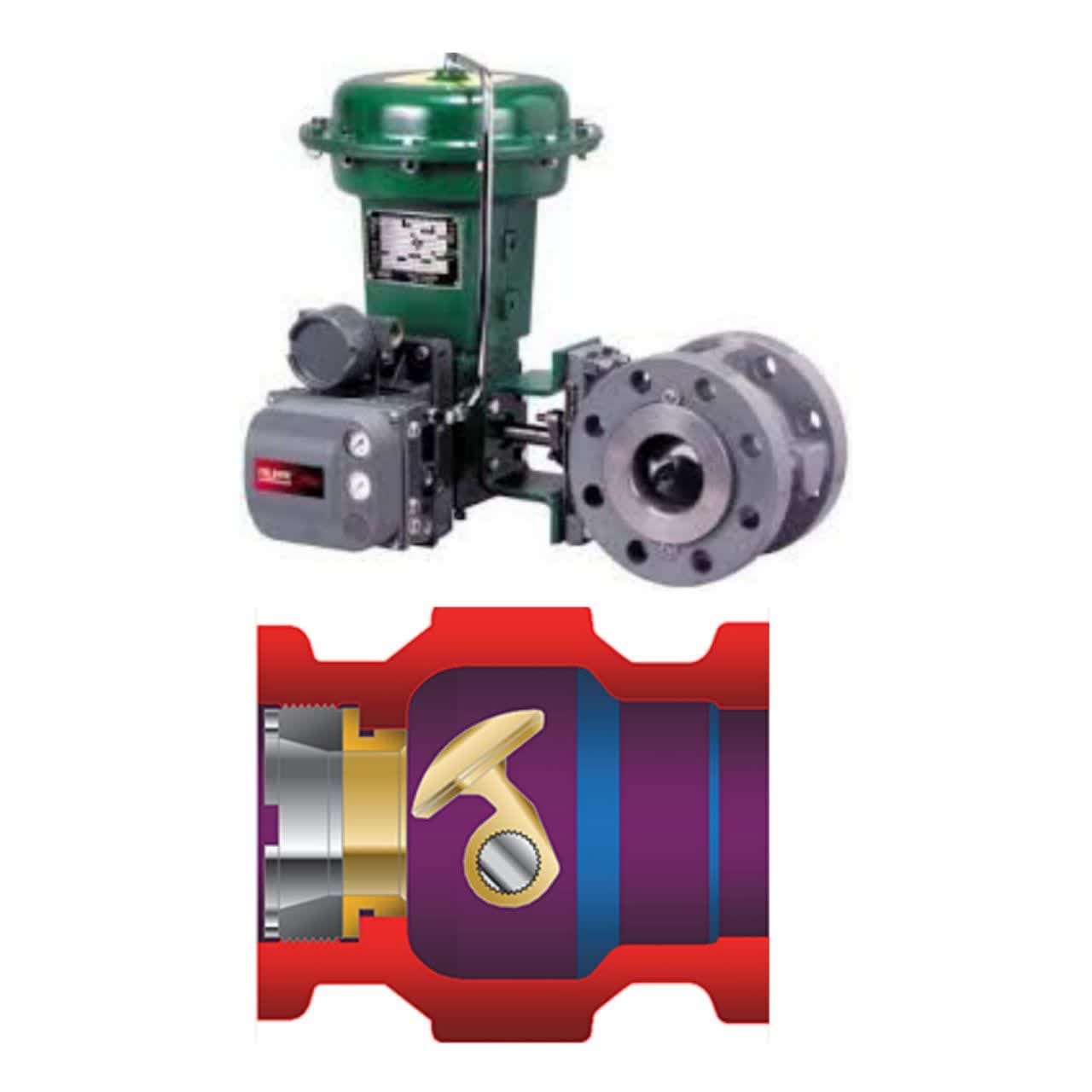 Plug Control Valve
