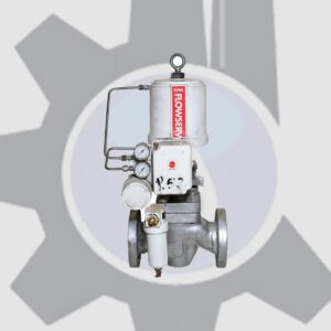 کنترل ولو Flowserve سایز 2 اینچ کلاس 300